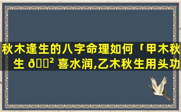 秋木逢生的八字命理如何「甲木秋生 🌲 喜水润,乙木秋生用头功」